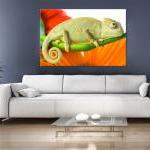 24x17 Digital Printed Canvas Colorful Chameleon To..