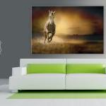 16x10 Digital Printed Canvas Vintage Wild Horse To..
