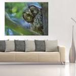 15x11 Digital Print Canvas Sentinel Owl To Your..
