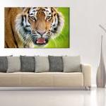 16x10 Digital Print Modern Canvas Wild Tiger To..