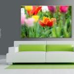 16x10 Digital Printed Canvas Tulip Flower To Your..