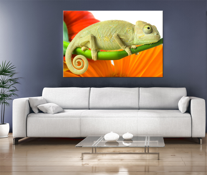 24x17 Digital Printed Canvas Colorful Chameleon To Your Wall (size: 24x17 Inch Plus Border).