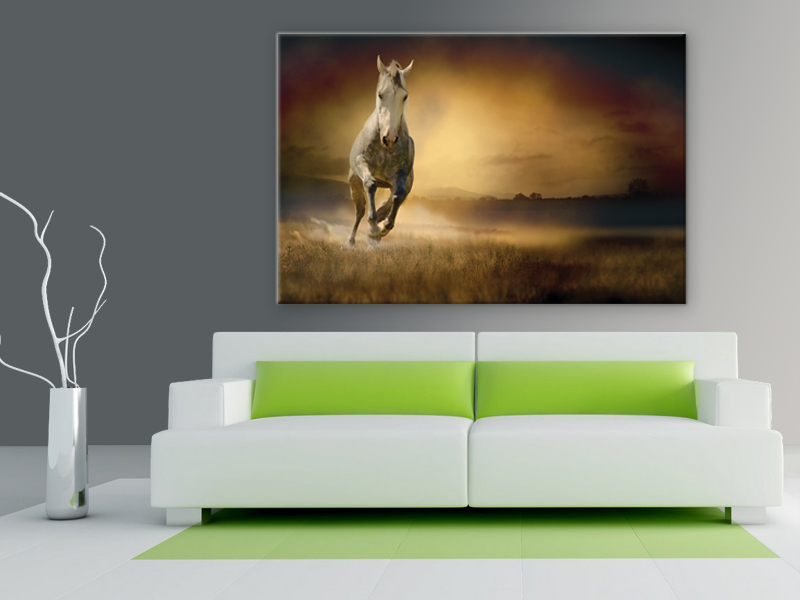 16x10 Digital Printed Canvas Vintage Wild Horse To Your Wall, Old White Mare, Wild Mustang (size: 16x10 Inch Plus Border).