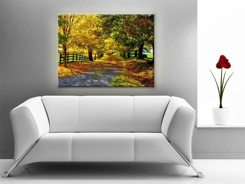 15x11 Digital Printed Canvas Autumn Wood To Your Wall, Nature Colorful Autumn Trees Photo (size: 15x11 Inch Plus Border).