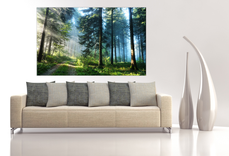 16x10 Digital Printed Wild Spring Forest Canvas To Your Wall, Colorful Morning Wild Wood Photo (size: 16x10 Inch Plus Border).