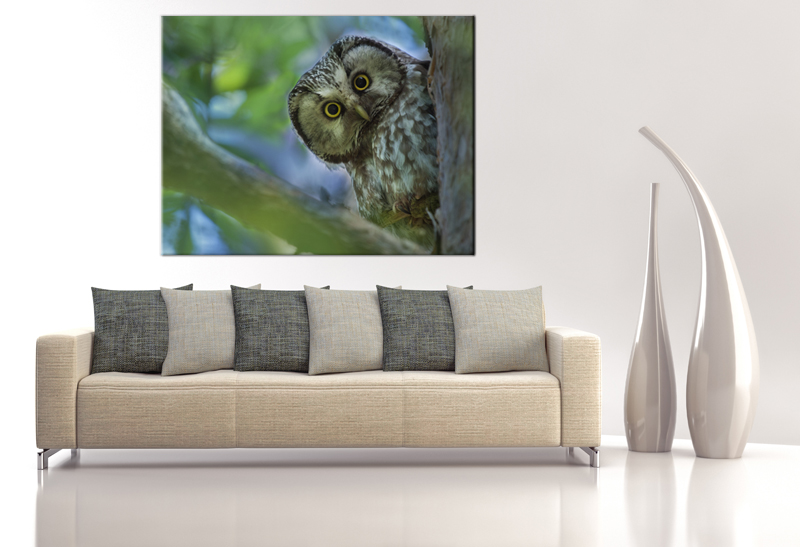 15x11 Digital Print Canvas Sentinel Owl To Your Wall Owl On The Tree (size: 15x11 Inch Plus Border).