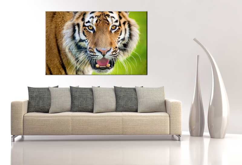16x10 Digital Print Modern Canvas Wild Tiger To Your Wall, (size: 16x10 Inch Plus Border).