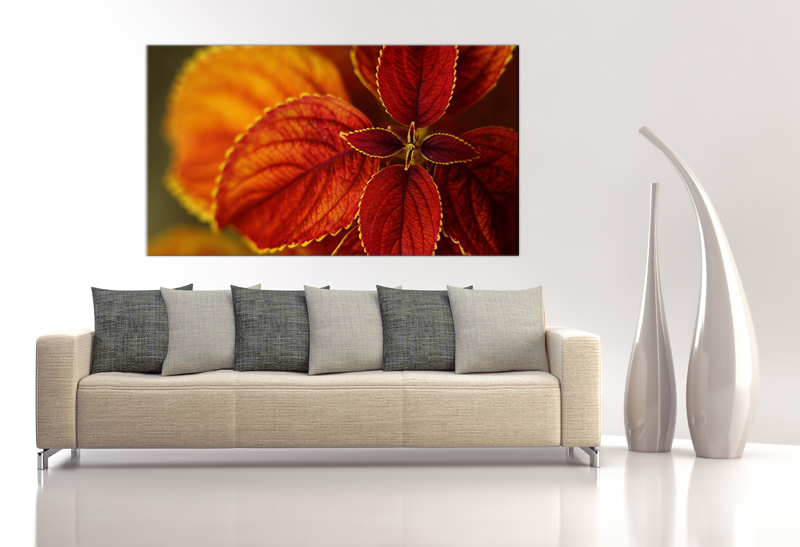 16x10 Digital Printed Canvas Red Flower To Your Wall, Red-claret Botanical Flower (size: 16x10 Inch Plus Border).