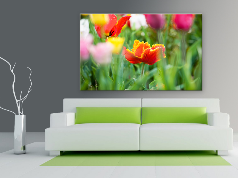 16x10 Digital Printed Canvas Tulip Flower To Your Wall (size: 16x10 Inch Plus Border).